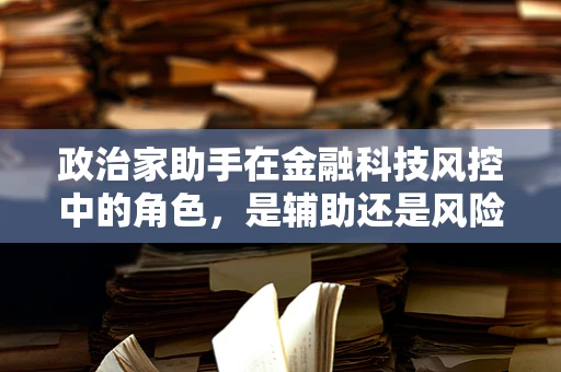 政治家助手在金融科技风控中的角色，是辅助还是风险？