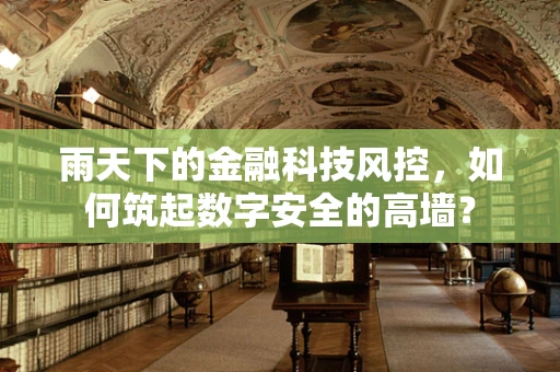 雨天下的金融科技风控，如何筑起数字安全的高墙？