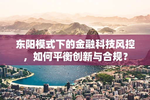 东阳模式下的金融科技风控，如何平衡创新与合规？
