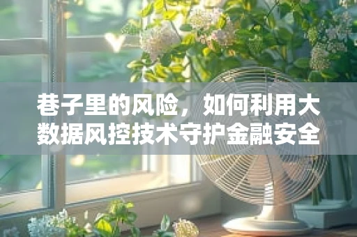 巷子里的风险，如何利用大数据风控技术守护金融安全？