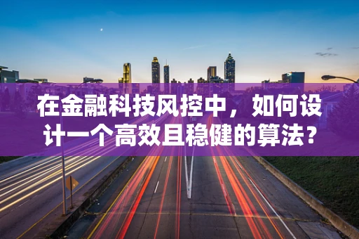 在金融科技风控中，如何设计一个高效且稳健的算法？