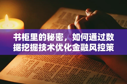 书柜里的秘密，如何通过数据挖掘技术优化金融风控策略？