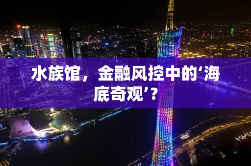水族馆，金融风控中的‘海底奇观’？