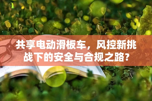 共享电动滑板车，风控新挑战下的安全与合规之路？