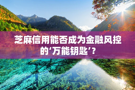 芝麻信用能否成为金融风控的‘万能钥匙’？