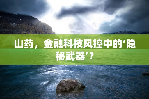 山药，金融科技风控中的‘隐秘武器’？