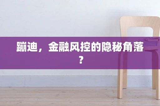 蹦迪，金融风控的隐秘角落？