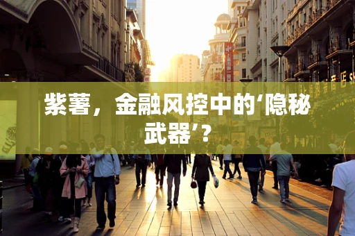 紫薯，金融风控中的‘隐秘武器’？