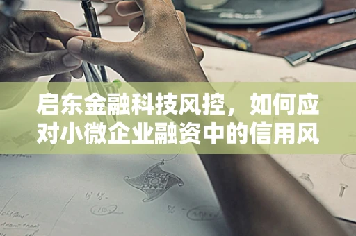 启东金融科技风控，如何应对小微企业融资中的信用风险？