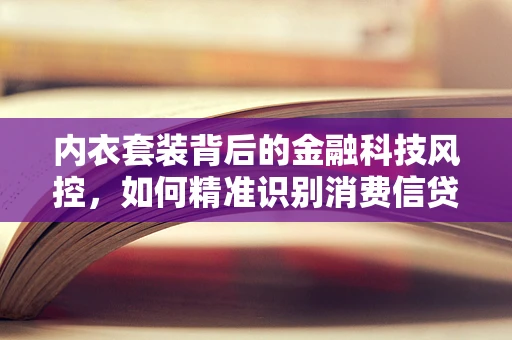 内衣套装背后的金融科技风控，如何精准识别消费信贷风险？