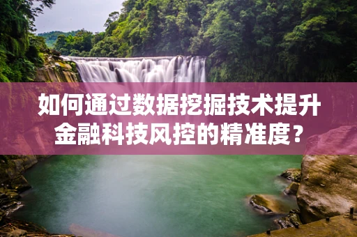 如何通过数据挖掘技术提升金融科技风控的精准度？