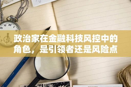 政治家在金融科技风控中的角色，是引领者还是风险点？