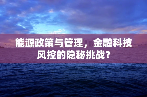 能源政策与管理，金融科技风控的隐秘挑战？