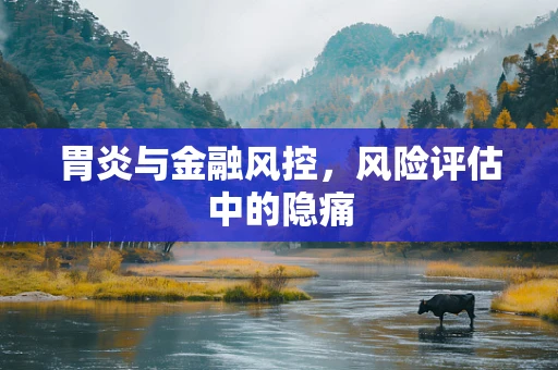胃炎与金融风控，风险评估中的隐痛
