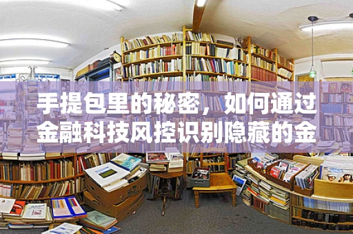 手提包里的秘密，如何通过金融科技风控识别隐藏的金融风险？