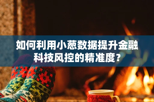 如何利用小葱数据提升金融科技风控的精准度？