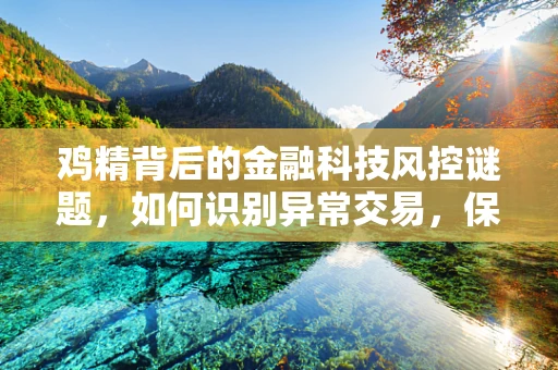 鸡精背后的金融科技风控谜题，如何识别异常交易，保护消费者免受欺诈？