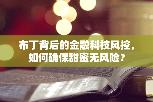布丁背后的金融科技风控，如何确保甜蜜无风险？