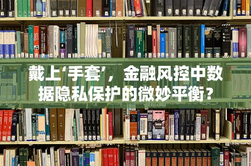 戴上‘手套’，金融风控中数据隐私保护的微妙平衡？