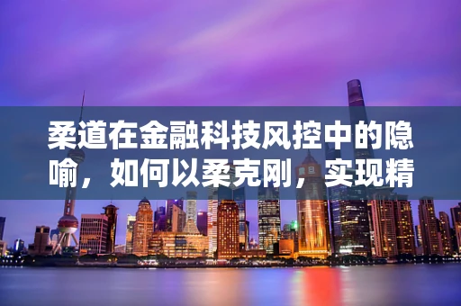 柔道在金融科技风控中的隐喻，如何以柔克刚，实现精准防控？