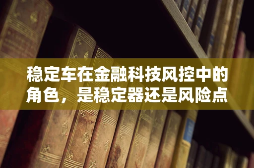 稳定车在金融科技风控中的角色，是稳定器还是风险点？