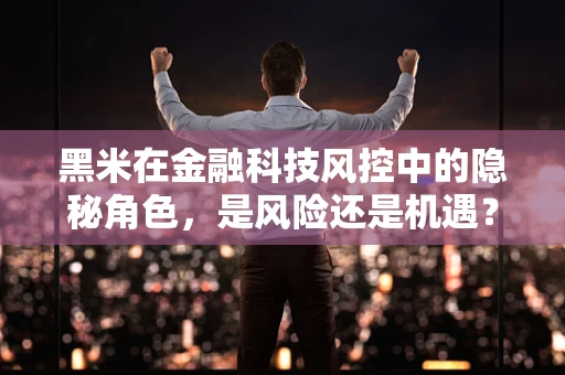 黑米在金融科技风控中的隐秘角色，是风险还是机遇？