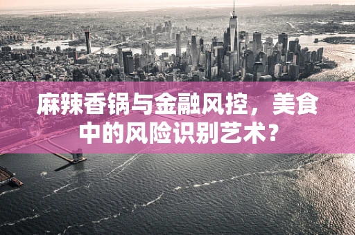 麻辣香锅与金融风控，美食中的风险识别艺术？