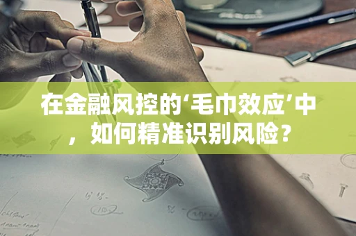 在金融风控的‘毛巾效应’中，如何精准识别风险？