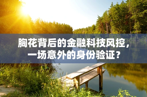 胸花背后的金融科技风控，一场意外的身份验证？