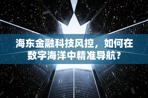 海东金融科技风控，如何在数字海洋中精准导航？