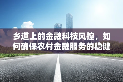 乡道上的金融科技风控，如何确保农村金融服务的稳健与安全？