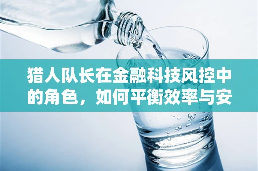 猎人队长在金融科技风控中的角色，如何平衡效率与安全？