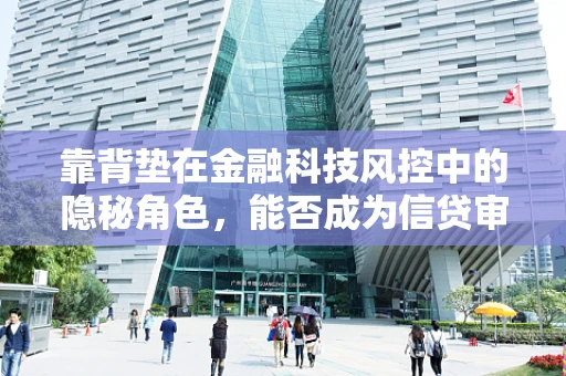 靠背垫在金融科技风控中的隐秘角色，能否成为信贷审批的‘软’防线？