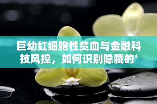 巨幼红细胞性贫血与金融科技风控，如何识别隐藏的‘贫血’风险？