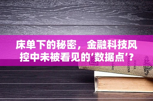 床单下的秘密，金融科技风控中未被看见的‘数据点’？