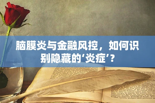 脑膜炎与金融风控，如何识别隐藏的‘炎症’？