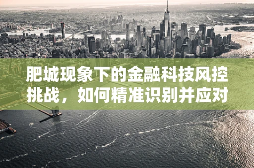 肥城现象下的金融科技风控挑战，如何精准识别并应对地方经济特色风险？