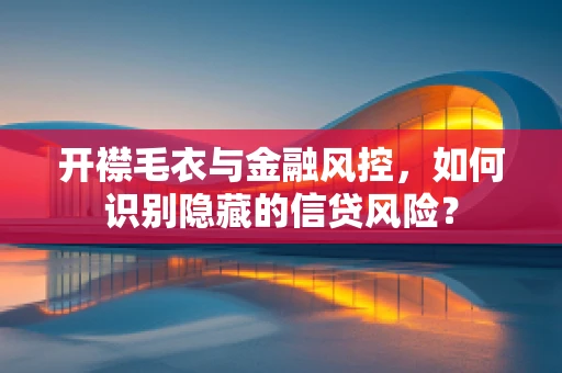 开襟毛衣与金融风控，如何识别隐藏的信贷风险？