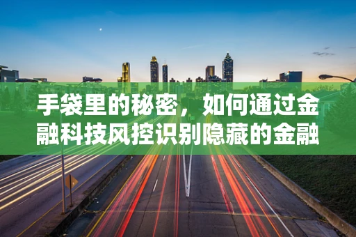 手袋里的秘密，如何通过金融科技风控识别隐藏的金融风险？