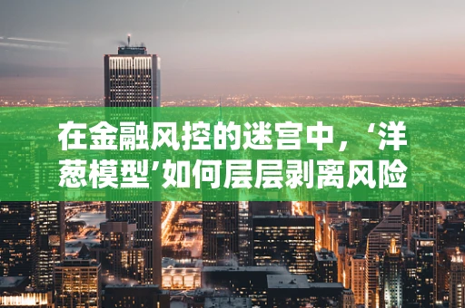 在金融风控的迷宫中，‘洋葱模型’如何层层剥离风险？