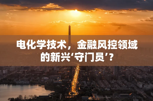 电化学技术，金融风控领域的新兴‘守门员’？