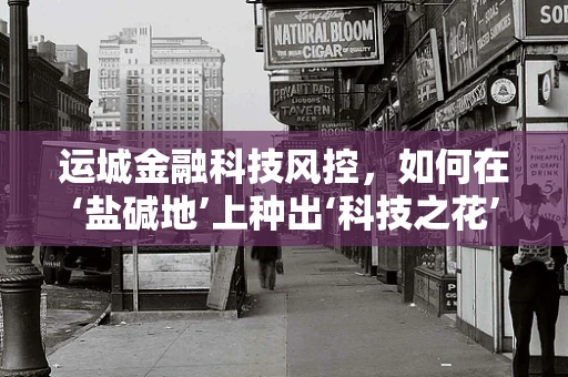 运城金融科技风控，如何在‘盐碱地’上种出‘科技之花’？