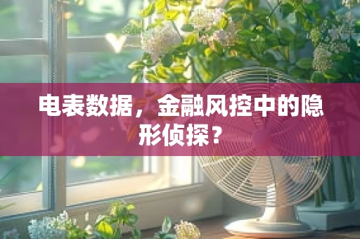 电表数据，金融风控中的隐形侦探？