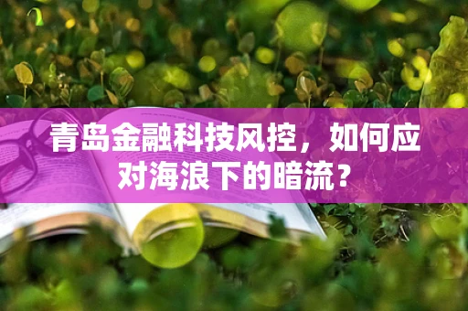 青岛金融科技风控，如何应对海浪下的暗流？