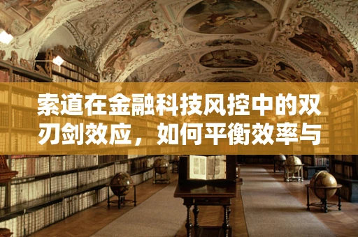 索道在金融科技风控中的双刃剑效应，如何平衡效率与安全？