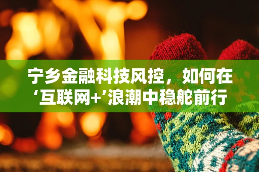 宁乡金融科技风控，如何在‘互联网+’浪潮中稳舵前行？