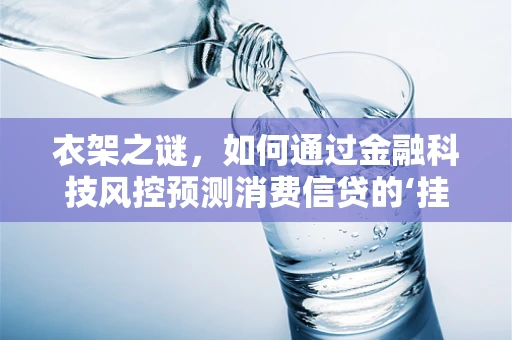 衣架之谜，如何通过金融科技风控预测消费信贷的‘挂’与‘不挂’？