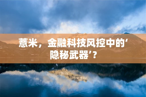 薏米，金融科技风控中的‘隐秘武器’？