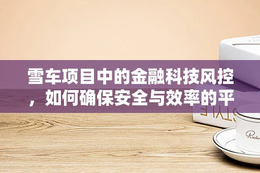 雪车项目中的金融科技风控，如何确保安全与效率的平衡？