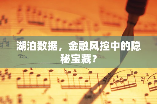 湖泊数据，金融风控中的隐秘宝藏？